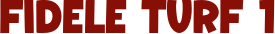 fideleturf1